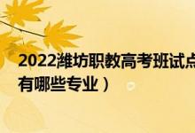 2022潍坊职教高考班试点学校（2022潍坊新纪元综合高中有哪些专业）