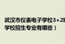 武汉市仪表电子学校3+2哪个专业好（2022武汉市仪表电子学校招生专业有哪些）