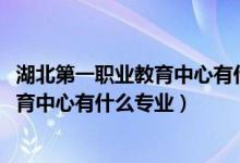 湖北第一职业教育中心有什么专业（2022武汉市第一职业教育中心有什么专业）