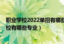 职业学校2022单招有哪些专业（2022阜市职业中等专业学校有哪些专业）