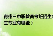 青州三中职教高考班招生条件（2022山东省青州第三中学招生专业有哪些）