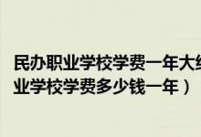 民办职业学校学费一年大约多少钱（2022金乡县职业中等专业学校学费多少钱一年）