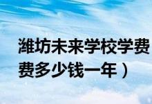 潍坊未来学校学费（2022潍坊市经济学校学费多少钱一年）