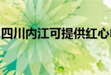 四川内江可提供红心电饼铛维修服务地址在哪