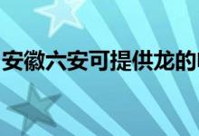 安徽六安可提供龙的电饼铛维修服务地址在哪