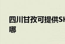 四川甘孜可提供SKG电饼铛维修服务地址在哪