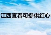 江西宜春可提供红心电饼铛维修服务地址在哪