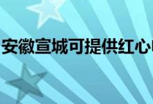 安徽宣城可提供红心电饼铛维修服务地址在哪