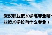 武汉职业技术学院专业哪个好（2022武汉经济技术开发区职业技术学校有什么专业）