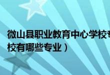 微山县职业教育中心学校专业（2022微山县职业教育中心学校有哪些专业）