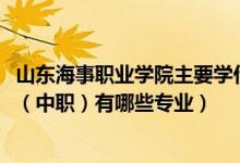 山东海事职业学院主要学什么专业（2022山东海事职业学院（中职）有哪些专业）