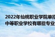 2022年仙桃职业学院单招吗（2022仙桃市创源计算机科技中等职业学校有哪些专业）