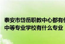 泰安市岱岳职教中心都有什么专业（2022泰安市岱岳区职业中等专业学校有什么专业）