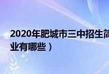 2020年肥城市三中招生简章（2022肥城市第三中学招生专业有哪些）