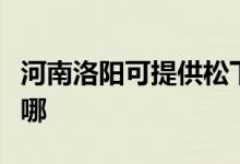 河南洛阳可提供松下电压力锅维修服务地址在哪