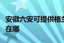 安徽六安可提供格兰仕电压力锅维修服务地址在哪