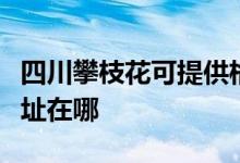 四川攀枝花可提供格兰仕电压力锅维修服务地址在哪