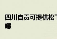 四川自贡可提供松下电压力锅维修服务地址在哪