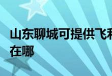 山东聊城可提供飞利浦电压力锅维修服务地址在哪