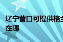 辽宁营口可提供格兰仕电压力锅维修服务地址在哪