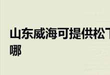 山东威海可提供松下电压力锅维修服务地址在哪