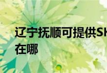 辽宁抚顺可提供SKG电压力锅维修服务地址在哪