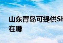 山东青岛可提供SKG电压力锅维修服务地址在哪