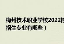 梅州技术职业学校2022招生计划（2022福安职业技术学校招生专业有哪些）