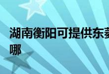 湖南衡阳可提供东菱电压力锅维修服务地址在哪