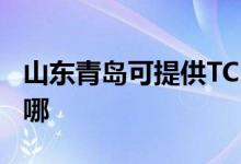 山东青岛可提供TCL电压力锅维修服务地址在哪