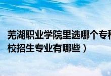 芜湖职业学院里选哪个专科好（2022江苏省高淳中等专业学校招生专业有哪些）