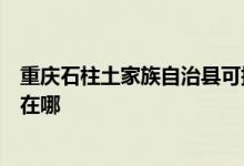 重庆石柱土家族自治县可提供伊立浦电压力锅维修服务地址在哪