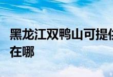 黑龙江双鸭山可提供康佳电火锅维修服务地址在哪