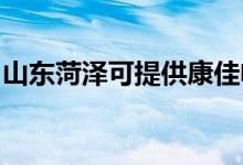 山东菏泽可提供康佳电火锅维修服务地址在哪