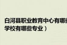 白河县职业教育中心有哪些专业（2022东阿县职业教育中心学校有哪些专业）