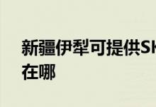 新疆伊犁可提供SKG电压力锅维修服务地址在哪