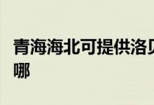 青海海北可提供洛贝电压力锅维修服务地址在哪