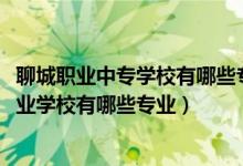 聊城职业中专学校有哪些专业（2022聊城市交通职业中等专业学校有哪些专业）