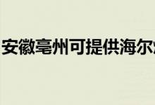 安徽亳州可提供海尔燃气灶维修服务地址在哪