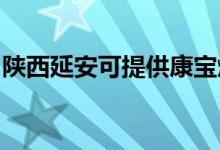 陕西延安可提供康宝燃气灶维修服务地址在哪