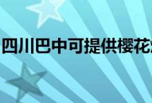 四川巴中可提供樱花燃气灶维修服务地址在哪