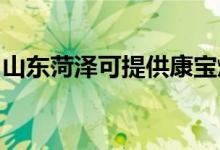 山东菏泽可提供康宝燃气灶维修服务地址在哪