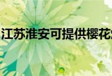 江苏淮安可提供樱花燃气灶维修服务地址在哪