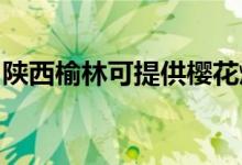 陕西榆林可提供樱花燃气灶维修服务地址在哪