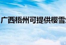 广西梧州可提供樱雪燃气灶维修服务地址在哪