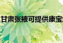 甘肃张掖可提供康宝燃气灶维修服务地址在哪