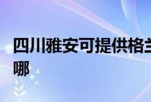 四川雅安可提供格兰仕燃气灶维修服务地址在哪