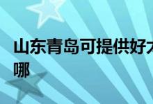 山东青岛可提供好太太燃气灶维修服务地址在哪