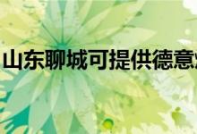 山东聊城可提供德意燃气灶维修服务地址在哪