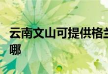 云南文山可提供格兰仕燃气灶维修服务地址在哪